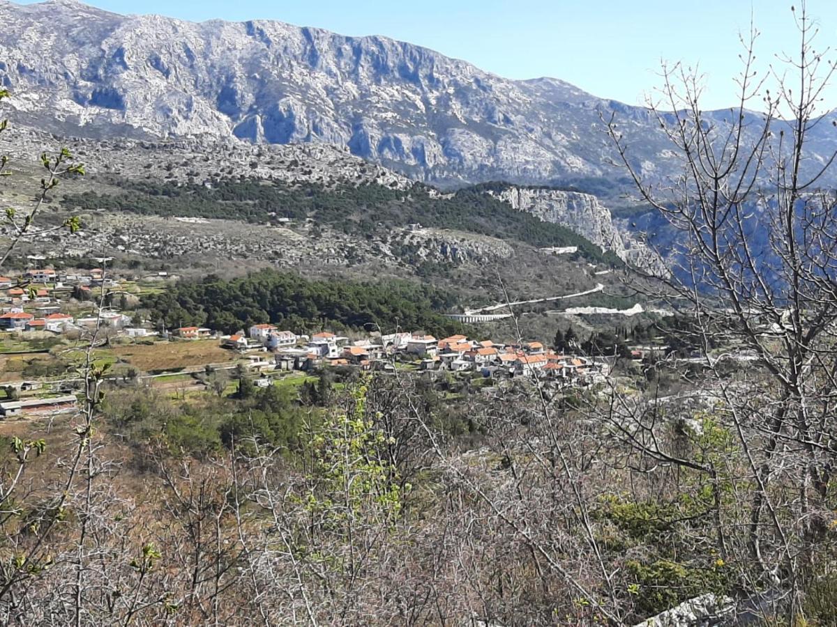 Apartment Maya Bellissima Tugare Εξωτερικό φωτογραφία